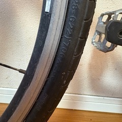 Calamita due自転車の画像