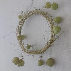 【無料】フウセンカズラのリース　ハンドメイド　18cmの画像