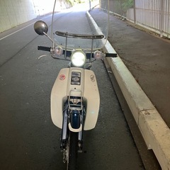c70 カブ　12V カスタムの画像