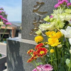 お墓のお掃除・お墓の参り🙏してない方﻿🙏お墓参り代行なら便利屋セ...