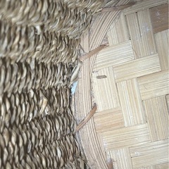 ゴミ箱 バスケット 丸型の画像