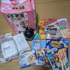 ※小型犬用品まとめてど〜んと12点!!※の画像