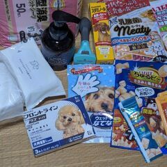 ※小型犬用品まとめてど〜んと12点!!※の画像