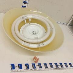0907-157 シーリングライト　蛍光灯の画像