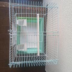 鳥かご　バードケージの画像
