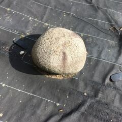  【引き取り限定。越前市内】庭石 ブロック サイズ他いろいろ の画像
