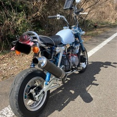 12v モンキー　z50jの画像