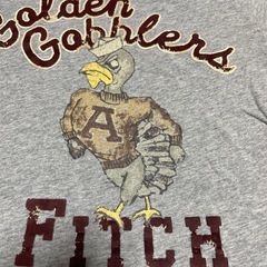 アバクロ　Tシャツ　メンズMサイズの画像