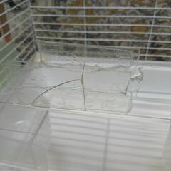 鳥かご🦜の画像