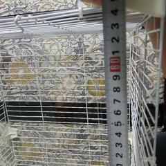 鳥かご🦜の画像