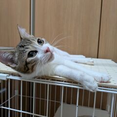 元気いっぱい男の子！