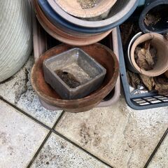 植木鉢 30個以上 プランターの画像