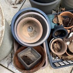 植木鉢 30個以上 プランターの画像