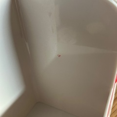 お医者さんごっこの画像