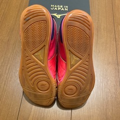 フットサルシューズ パラメヒコ
の画像