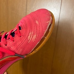 フットサルシューズ パラメヒコ
の画像