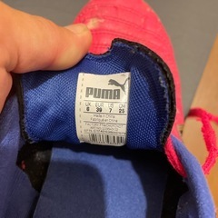 フットサルシューズ パラメヒコ
の画像