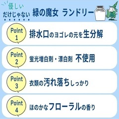 【新品未開封】洗濯用洗剤 2000ml 緑の魔女の画像