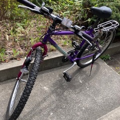 マウンテンバイク　パナソニック製の画像