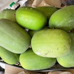 訳あり！ミニ冬瓜の画像