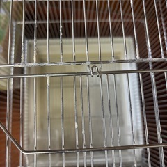 鳥小屋　現金支払い可能の画像