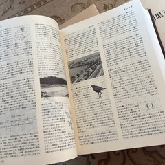 福岡県百貨事典の画像