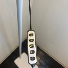 スタンドライトの画像