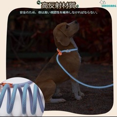 犬リード　反射材料 オレンジレザーハンドル 2m 太さ8mmの画像
