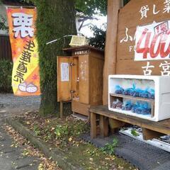 朝取り生栗　の画像