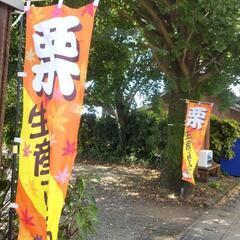 朝取り生栗　の画像