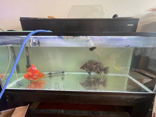 1200×450×450水槽