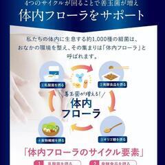 【新品未開封】BIOERE ビオエル 乳酸菌4.5兆個 ビフィズス菌 酪酸菌 30日分 国内製の画像