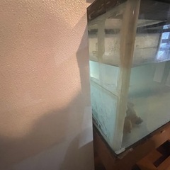 台付90cm水槽の画像