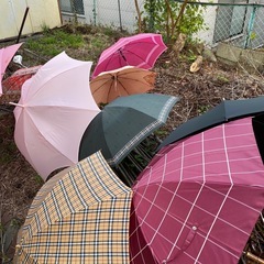 主に女性用　傘9本　うち折りたたみ4の画像