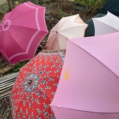 主に女性用　傘9本　うち折りたたみ4の画像