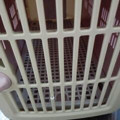 犬用　キャリーの画像