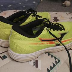 ﾗﾝｼｭｰ　mizuno　ﾃﾞｭｴﾙｿﾆｯｸ3wide　26.5cmの画像