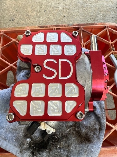 シグナスSDステージSビッグヘッド