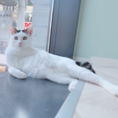 沖縄から保護した男の子。