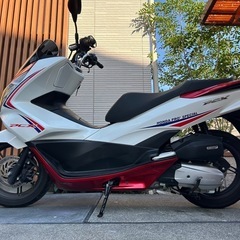 pcxプロスポーツ限定車  自賠責2年付き　乗って帰れます
の画像