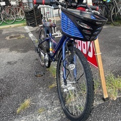 ブリヂストンエクスプレスジュニア２４の画像