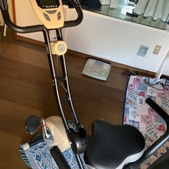 アルインコ　フィットネス　室内用バイクの画像