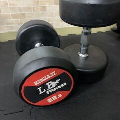 在庫処分特価！LBGYMオリジナル ラバーダンベル 22.5kg × 2個セットの画像