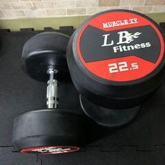在庫処分特価！LBGYMオリジナル ラバーダンベル 22.5kg × 2個セットの画像