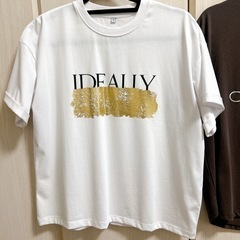 試着のみ！Tシャツ　2枚　セット　Lサイズの画像