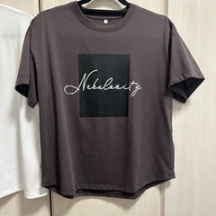 試着のみ！Tシャツ　2枚　セット　Lサイズの画像