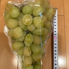 シャインマスカットの画像