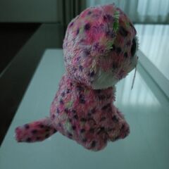 tyの画像