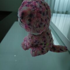 tyの画像