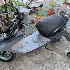 af56 スマートディオ早い者勝ちの画像